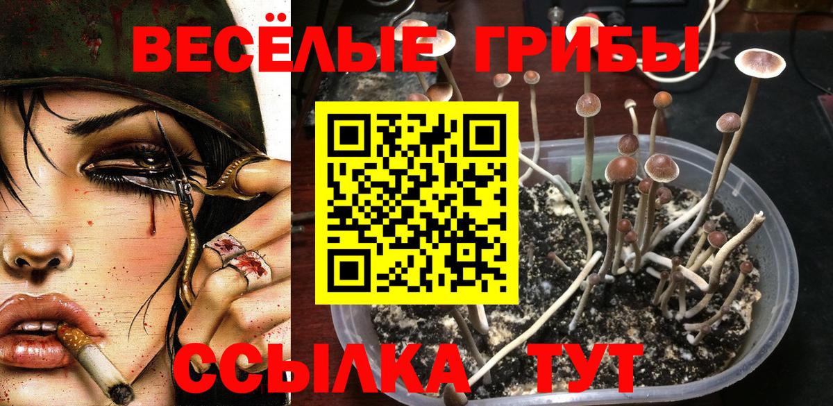 Псилоцибиновые грибы MAGIC MUSHROOMS  Вход с VPN  Галлюциногенные грибы прущие грибы  даркнет сайт  Белгород 