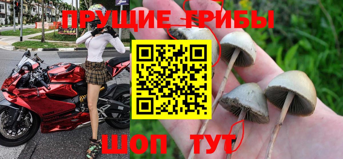 Галлюциногенные грибы мухоморы Белгород